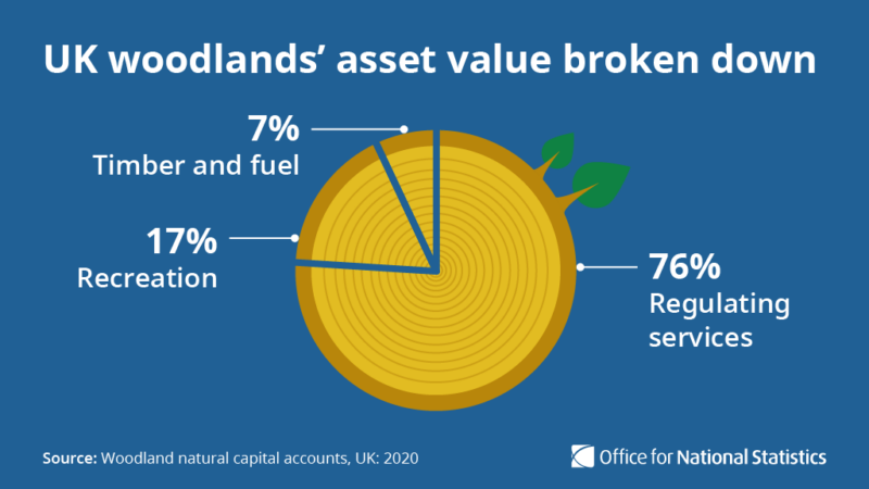 A pie chart in the style of the end of a log to show the breakdown of UK woodlands' asset value.