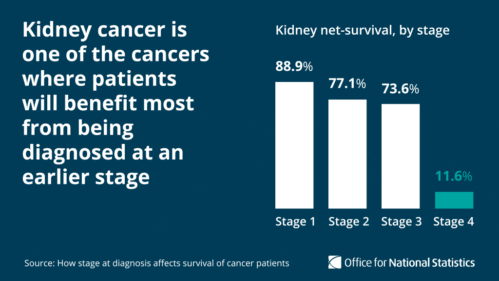 Bar chart for a social media graphic, showing kidney cancer net survival rate by stage.